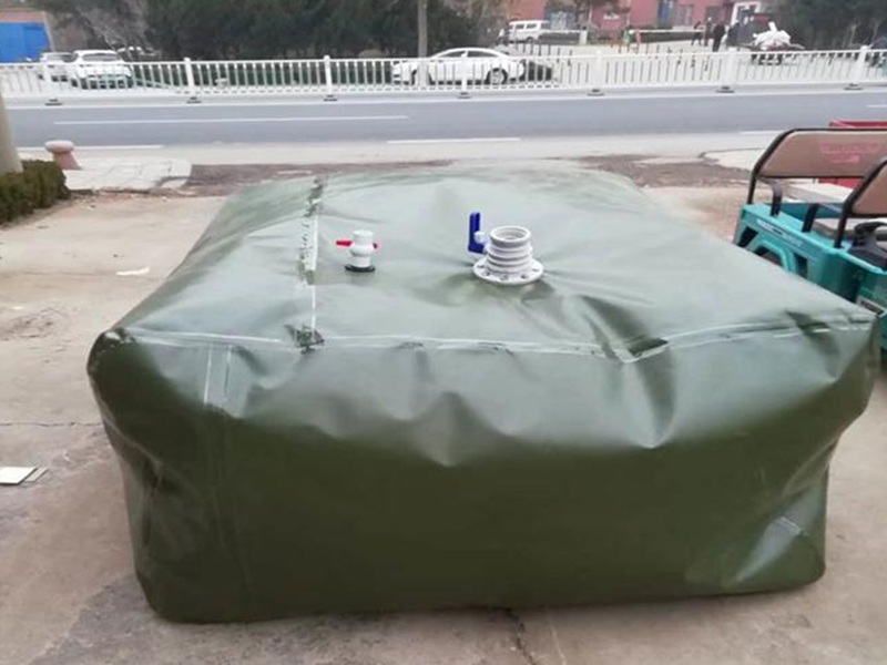 油囊